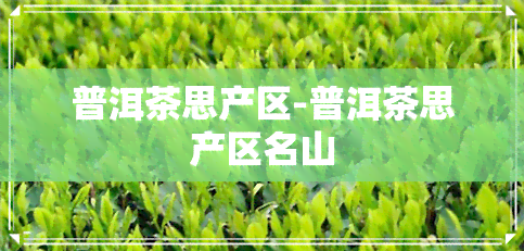 普洱茶思产区-普洱茶思产区名山