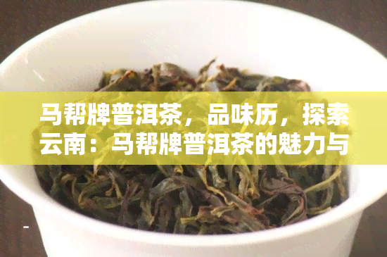 马帮牌普洱茶，品味历，探索云南：马帮牌普洱茶的魅力与故事