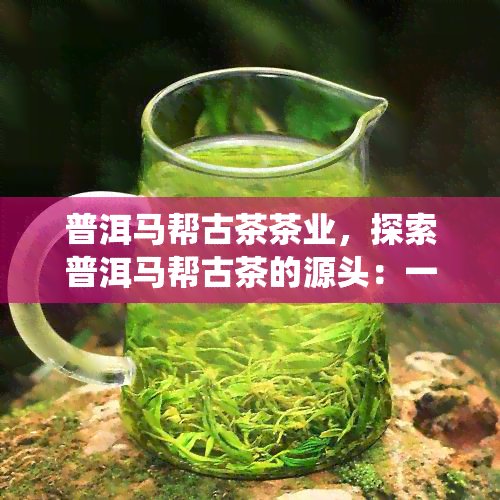 普洱马帮古茶茶业，探索普洱马帮古茶的源头：一家专注于传统制茶工艺的公司