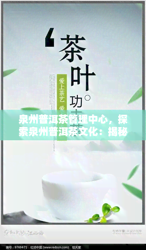 泉州普洱茶管理中心，探索泉州普洱茶文化：揭秘泉州普洱茶管理中心