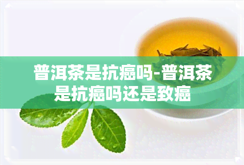 普洱茶是抗癌吗-普洱茶是抗癌吗还是致癌