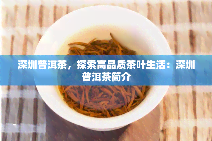 深圳普洱茶，探索高品质茶叶生活：深圳普洱茶简介