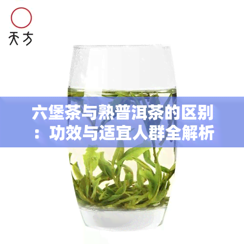 六堡茶与熟普洱茶的区别：功效与适宜人群全解析