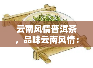 云南风情普洱茶，品味云南风情：探索普洱茶的世界