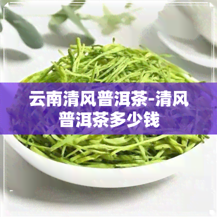 云南清风普洱茶-清风普洱茶多少钱