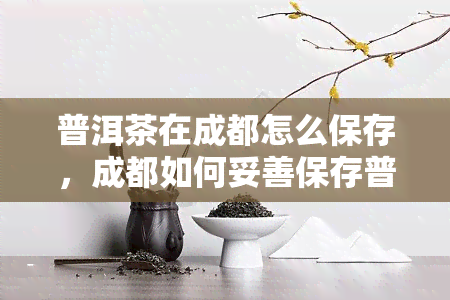 普洱茶在成都怎么保存，成都如何妥善保存普洱茶？