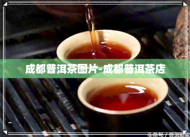 成都普洱茶图片-成都普洱茶店