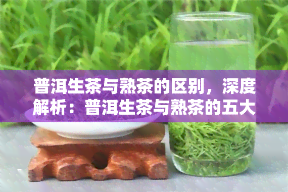 普洱生茶与熟茶的区别，深度解析：普洱生茶与熟茶的五大区别，你了解吗？