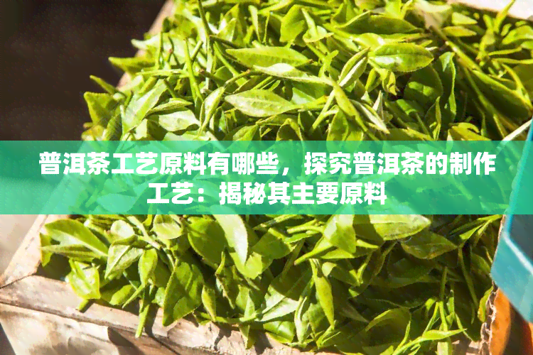 普洱茶工艺原料有哪些，探究普洱茶的制作工艺：揭秘其主要原料