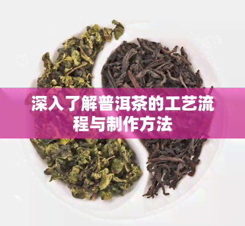 深入了解普洱茶的工艺流程与制作方法