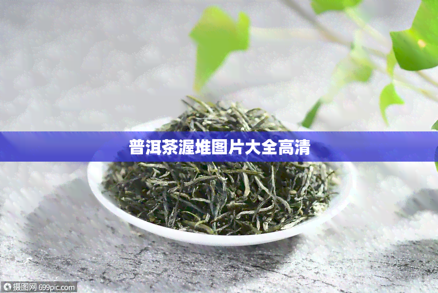 普洱茶渥堆图片大全高清