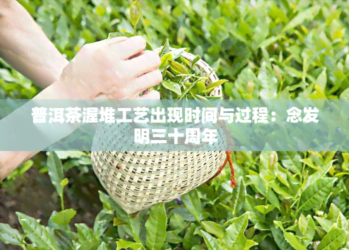 普洱茶渥堆工艺出现时间与过程：念发明三十周年