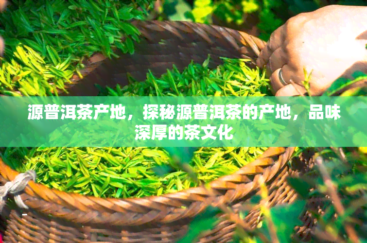 源普洱茶产地，探秘源普洱茶的产地，品味深厚的茶文化