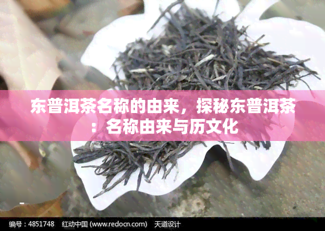 东普洱茶名称的由来，探秘东普洱茶：名称由来与历文化