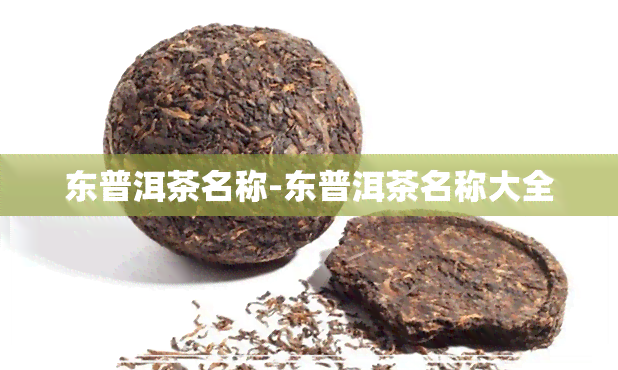 东普洱茶名称-东普洱茶名称大全