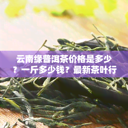 云南缘普洱茶价格是多少？一斤多少钱？最新茶叶行情