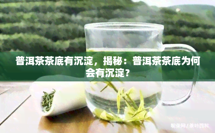 普洱茶茶底有沉淀，揭秘：普洱茶茶底为何会有沉淀？