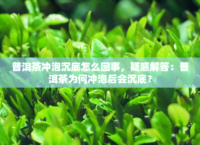 普洱茶冲泡沉底怎么回事，疑惑解答：普洱茶为何冲泡后会沉底？