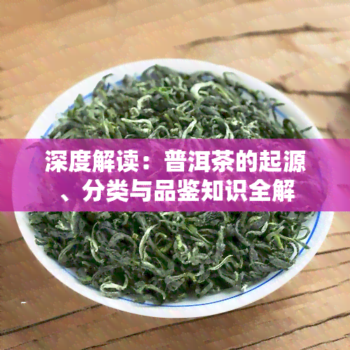 深度解读：普洱茶的起源、分类与品鉴知识全解