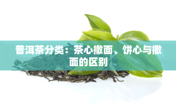 普洱茶分类：茶心撒面、饼心与撒面的区别