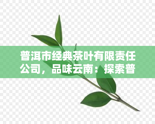 普洱市经典茶叶有限责任公司，品味云南：探索普洱市经典茶叶有限责任公司的优质茶叶