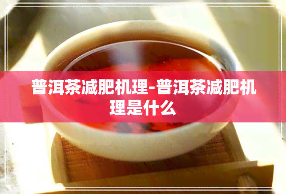 普洱茶减肥机理-普洱茶减肥机理是什么