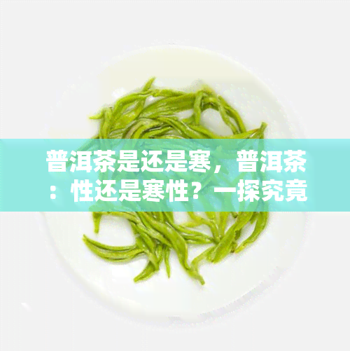 普洱茶是还是寒，普洱茶：性还是寒性？一探究竟