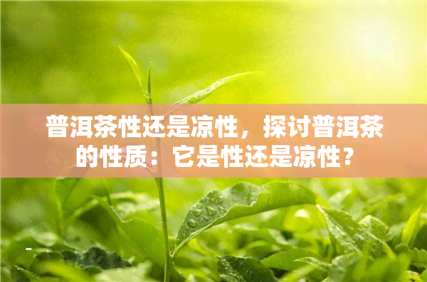 普洱茶性还是凉性，探讨普洱茶的性质：它是性还是凉性？