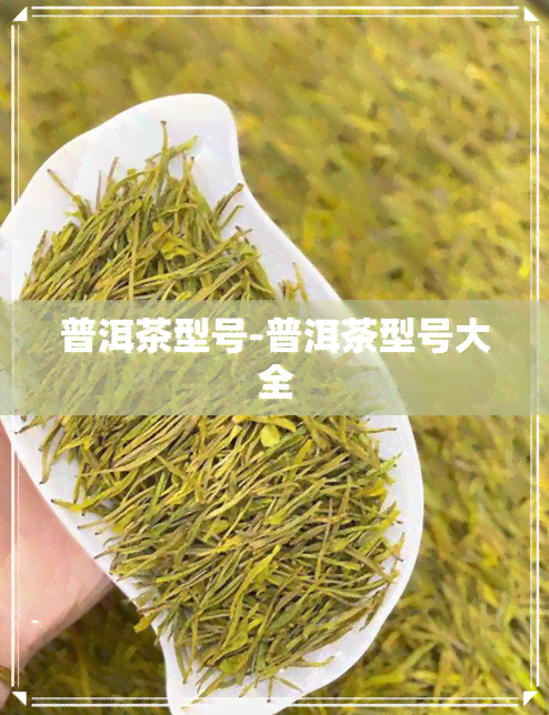 普洱茶型号-普洱茶型号大全