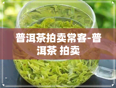 普洱茶拍卖常客-普洱茶 拍卖