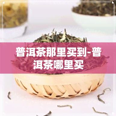 普洱茶那里买到-普洱茶哪里买