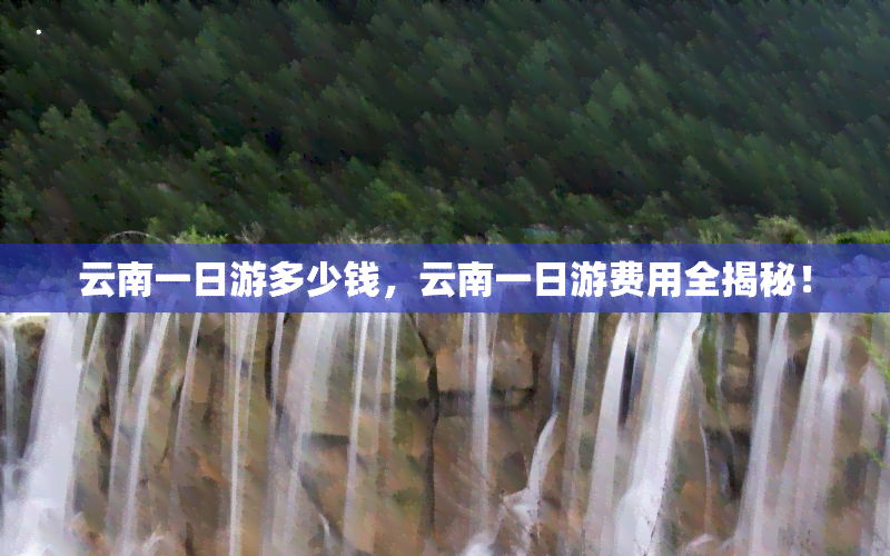 云南一日游多少钱，云南一日游费用全揭秘！