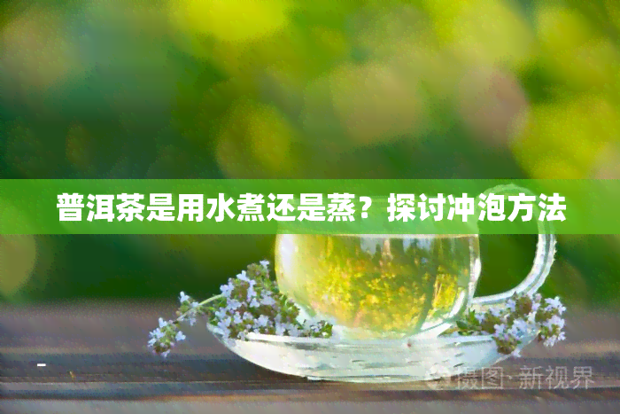 普洱茶是用水煮还是蒸？探讨冲泡方法