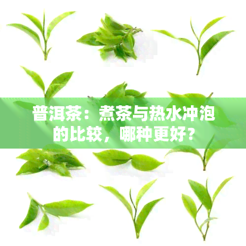 普洱茶：煮茶与热水冲泡的比较，哪种更好？