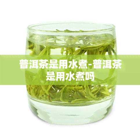 普洱茶是用水煮-普洱茶是用水煮吗