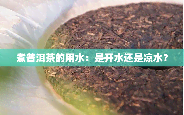 煮普洱茶的用水：是开水还是凉水？