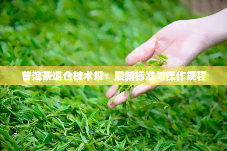 普洱茶退仓技术规：最新标准与操作规程