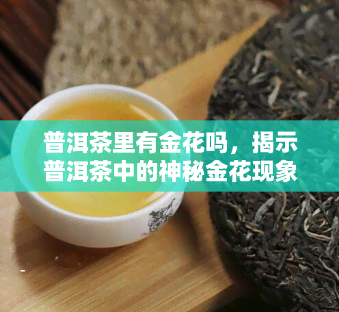 普洱茶里有金花吗，揭示普洱茶中的神秘金花现象