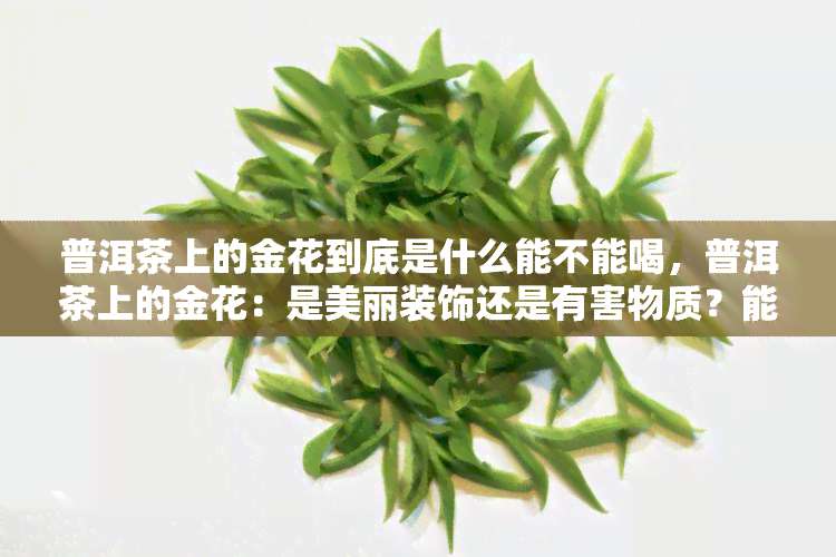 普洱茶上的金花到底是什么能不能喝，普洱茶上的金花：是美丽装饰还是有害物质？能否安心饮用？