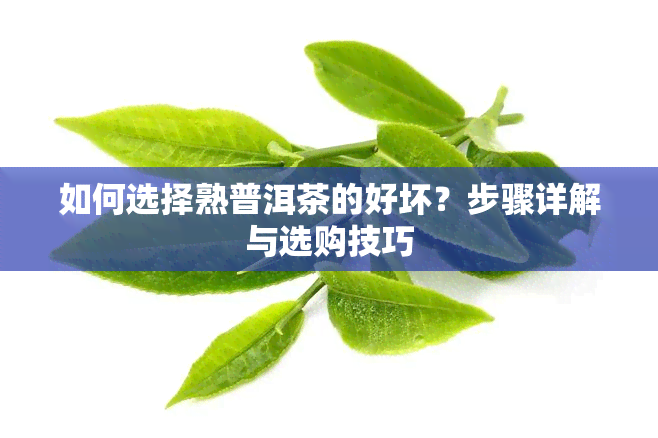 如何选择熟普洱茶的好坏？步骤详解与选购技巧