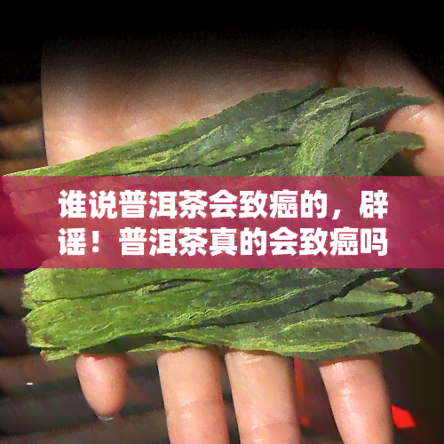 谁说普洱茶会致癌的，辟谣！普洱茶真的会致癌吗？