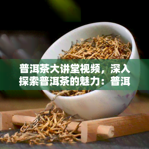 普洱茶大讲堂视频，深入探索普洱茶的魅力：普洱茶大讲堂视频解析