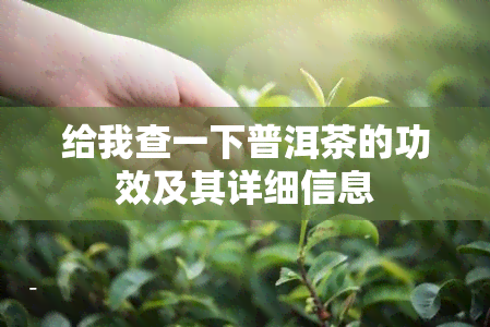 给我查一下普洱茶的功效及其详细信息