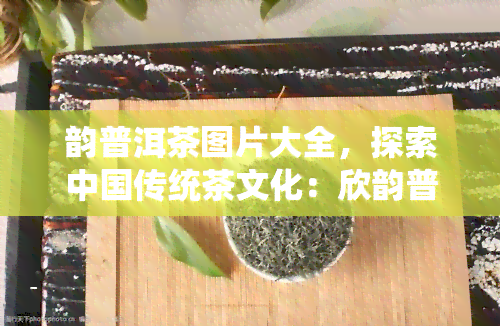 韵普洱茶图片大全，探索中国传统茶文化：欣韵普洱茶的美丽图片大全