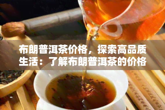 布朗普洱茶价格，探索高品质生活：了解布朗普洱茶的价格与特点