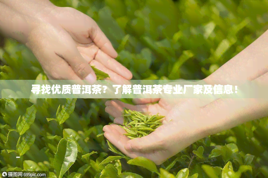 寻找优质普洱茶？了解普洱茶专业厂家及信息！