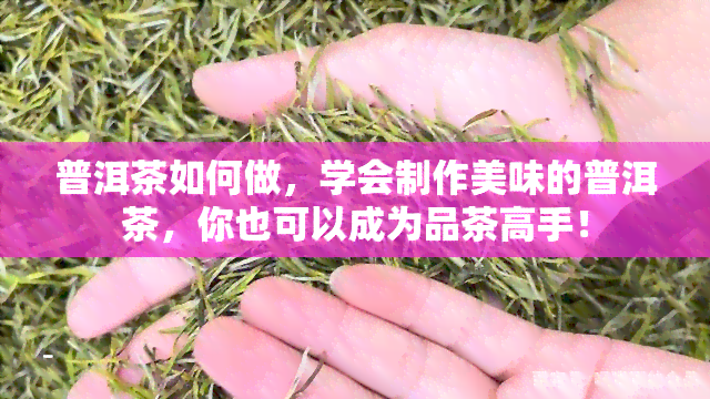 普洱茶如何做，学会制作美味的普洱茶，你也可以成为品茶高手！