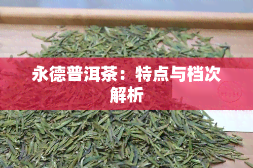 永德普洱茶：特点与档次解析