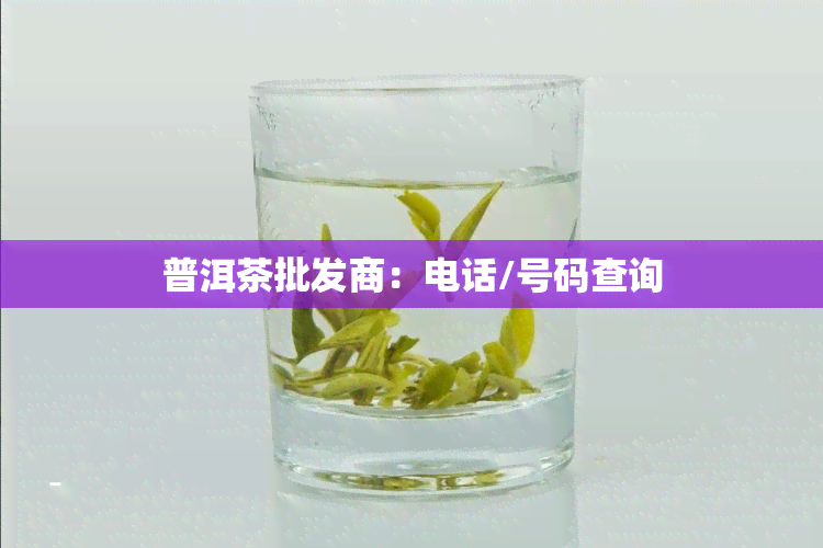 普洱茶批发商：电话/号码查询