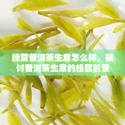 经营普洱茶生意怎么样，探讨普洱茶生意的经营前景与策略